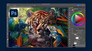 Photo Editing